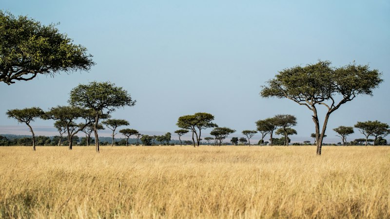 Photo: David Clode / Unsplash