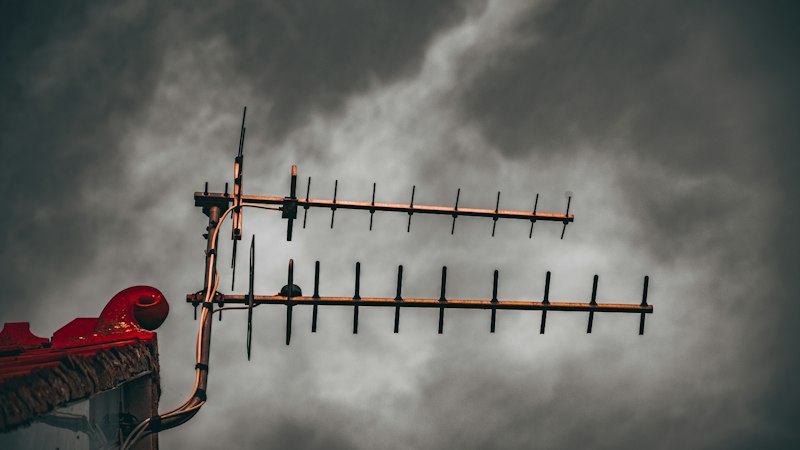 Photo: Joseph Sharp / Unsplash