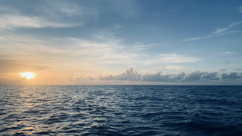 Photo: Jeremy Ducray / Unsplash